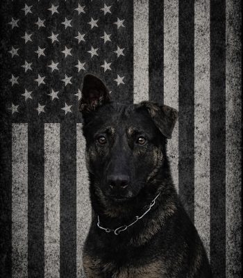 K-9 Rody